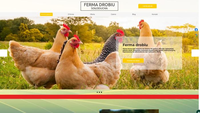 Anna Sołoducha Sprzedaż pasz