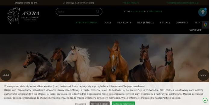 Astra Salon Jeździecki Małgorzata Parzych