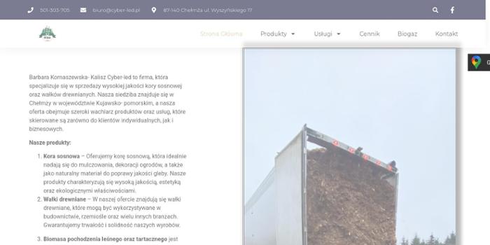 Barbara Kornaszewska-Kalisz Cyber Led