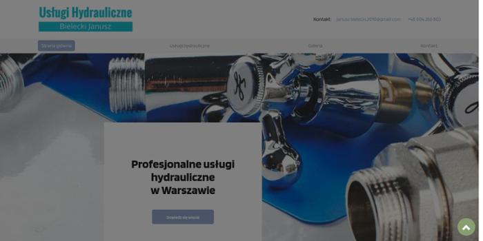 Bielecki Janusz Usługi hydrauliczne