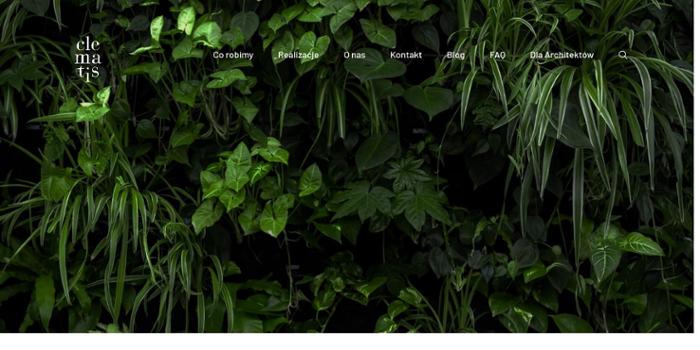 CLEMATIS Architektura Krajobrazu
