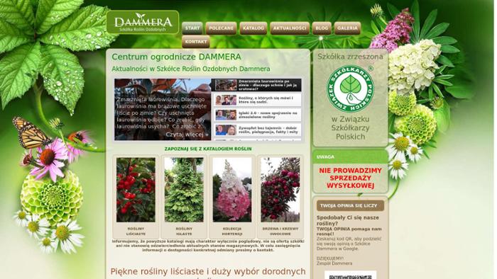 Dammera Szkółka Roślin Ozdobnych