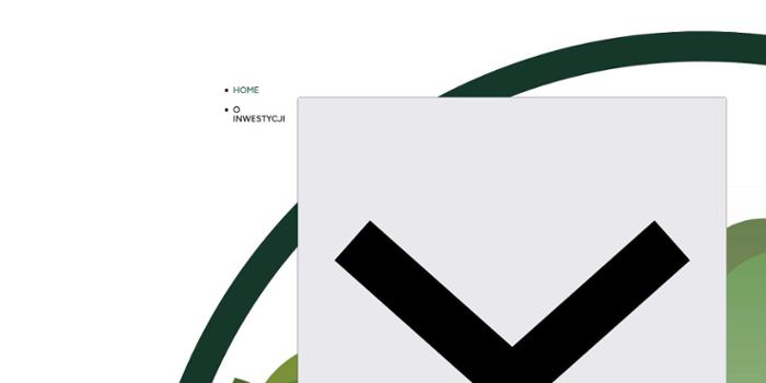 Developer - ZBR Later Sp. z o.o.