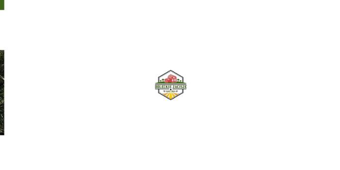 Doleckie Zacisze Artur Piątkowski