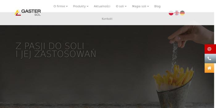 GLAPIAK WALDEMAR PRZEDSIĘBIORSTWO PRODUKCYJNE "GASTER SÓL