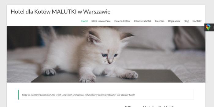 Hotel dla Kotów MALUTKI