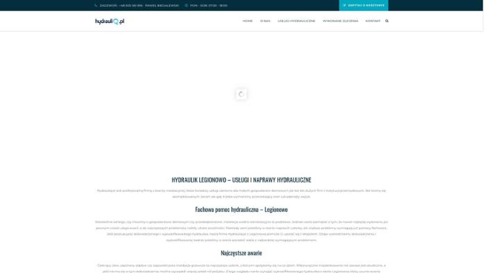 Hydrauliq.pl Paweł Biegalewski
