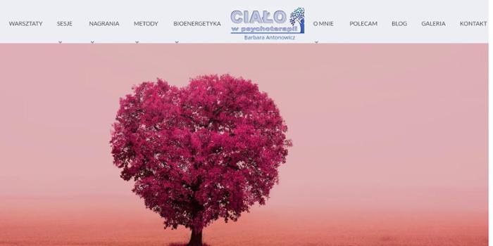 Integracja. Antonowicz-Wlazińska B.