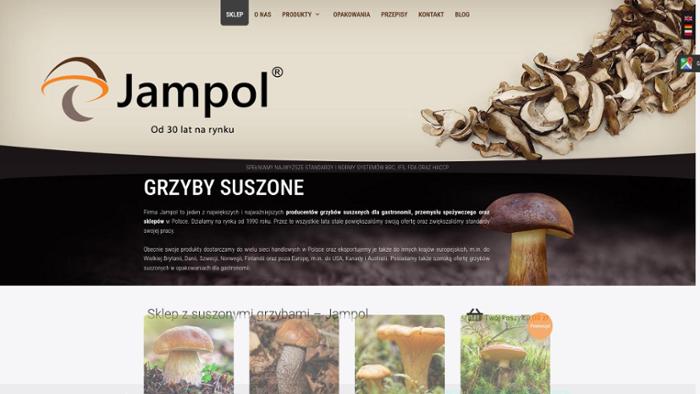 Jampol Leszek Kamieniarz