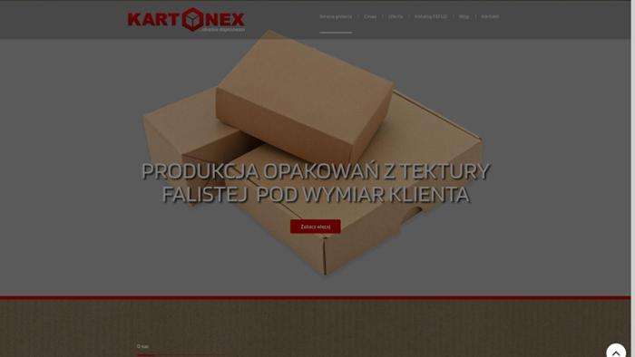 Kartonex