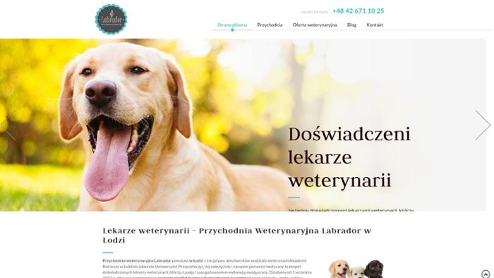 Labrador Agnieszka Szczepanik, Tomasz Szczepanik s.c.