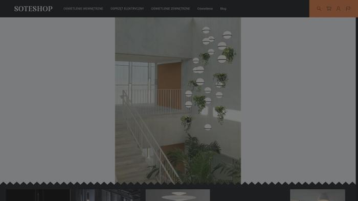 Light & Shadow s.c.