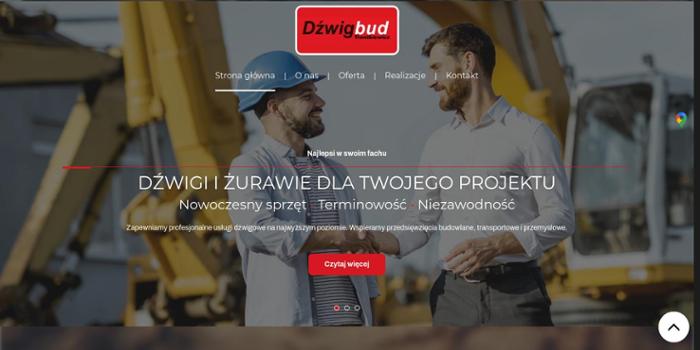 Michał Trentkiewicz Dźwigbud