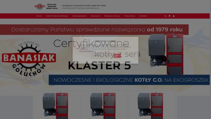 Netvision Mikołaj Politowicz