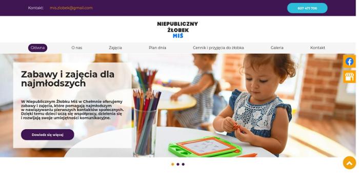 Niepubliczny Żłobek Miś