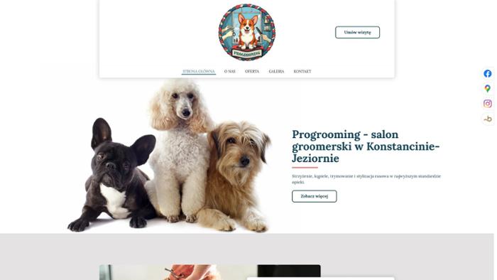 Progrooming Groomer Psi Fryzer