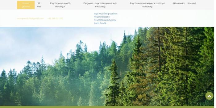 Prywatny Gabinet Psychologiczno Psychoterapeutyczny Anna Pawlik