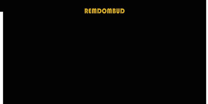 RemDomBud Oleksii Drach