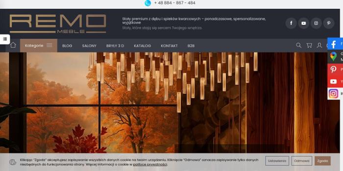Remo Meble