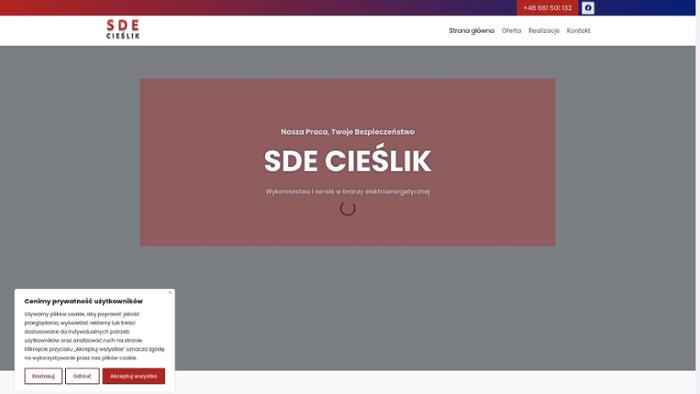 Serwis Dla Elektroenergetyki Łukasz Cieślik