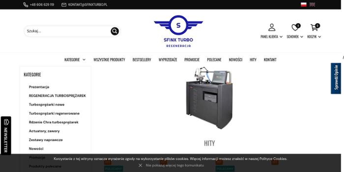 Sfinx Grzegorz Wi艣niewski