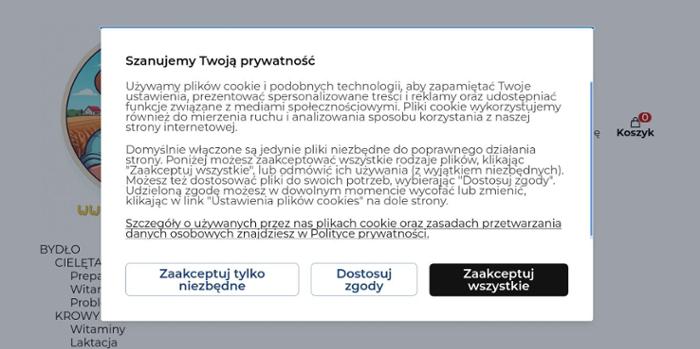 Syberol Fhu Michał Jęczewski