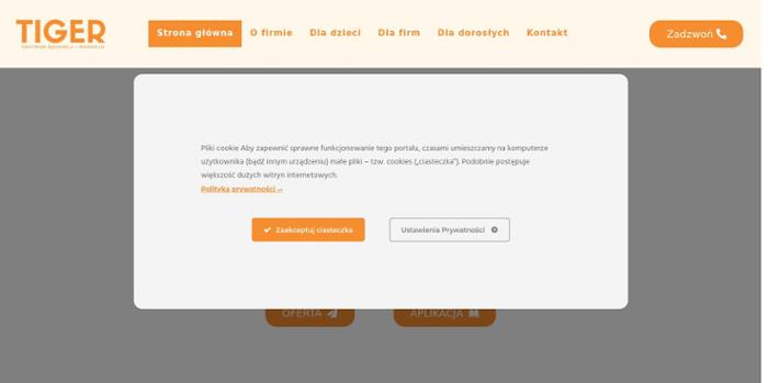 Tiger Sosnowiec Centrum Edukacji i Rozwoju Ewelina Zawiślan