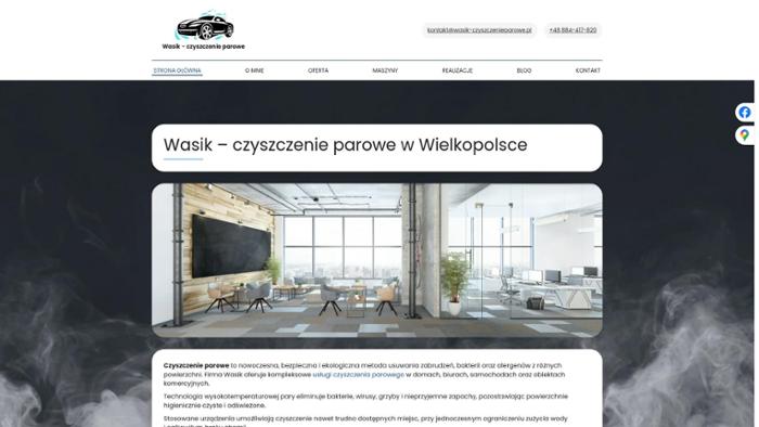 Wasik-czyszczenie parowe