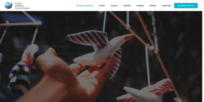 Zespół Śląskiego Ośrodka Psychoterapii